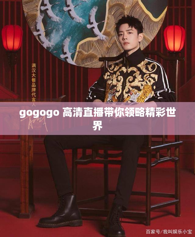 gogogo 高清直播带你领略精彩世界