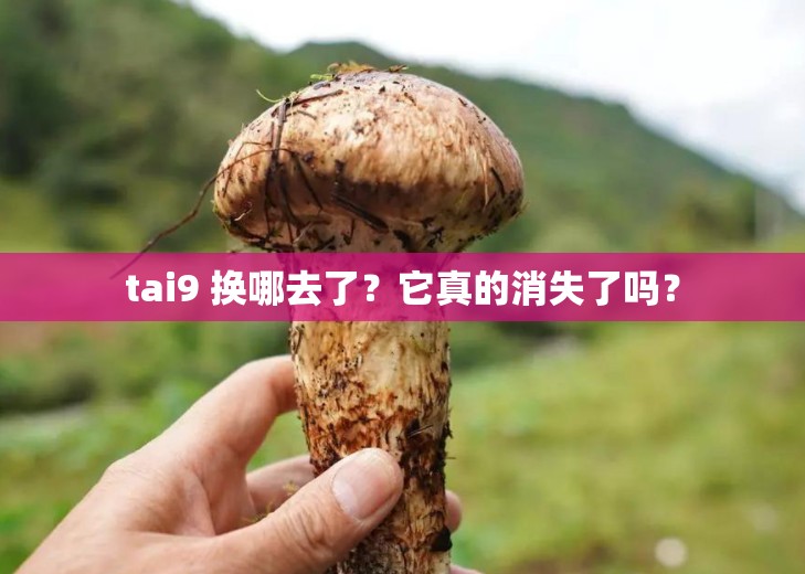 tai9 换哪去了？它真的消失了吗？