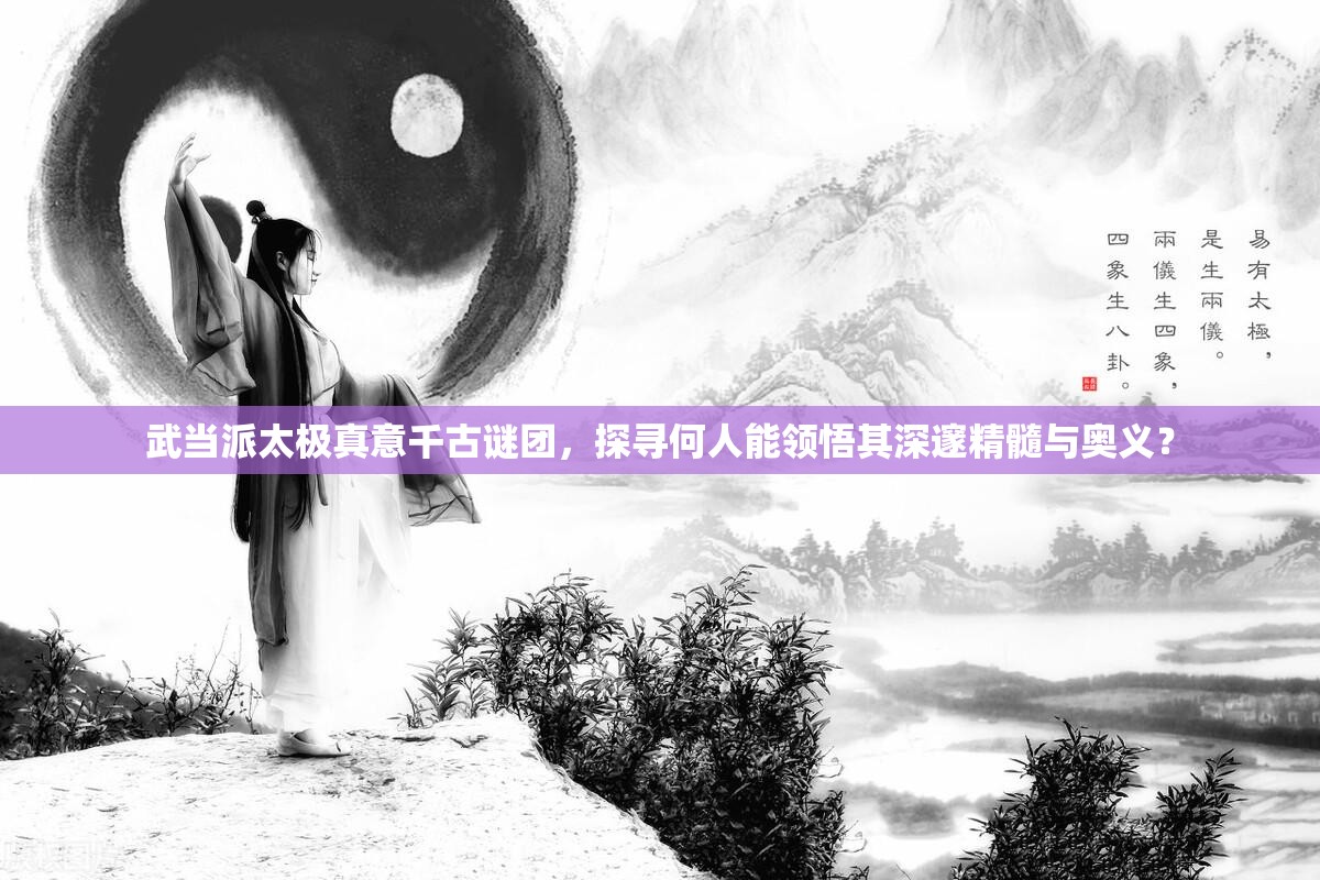 武当派太极真意千古谜团，探寻何人能领悟其深邃精髓与奥义？