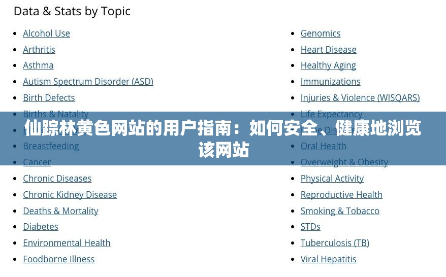 仙踪林黄色网站的用户指南：如何安全、健康地浏览该网站