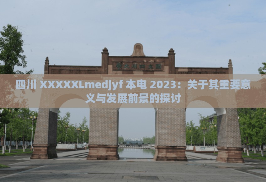 四川 XXXXXLmedjyf 本电 2023：关于其重要意义与发展前景的探讨