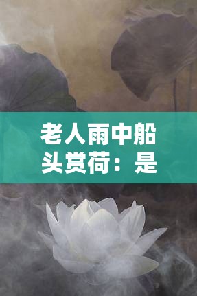 老人雨中船头赏荷：是坚持还是另有隐情？