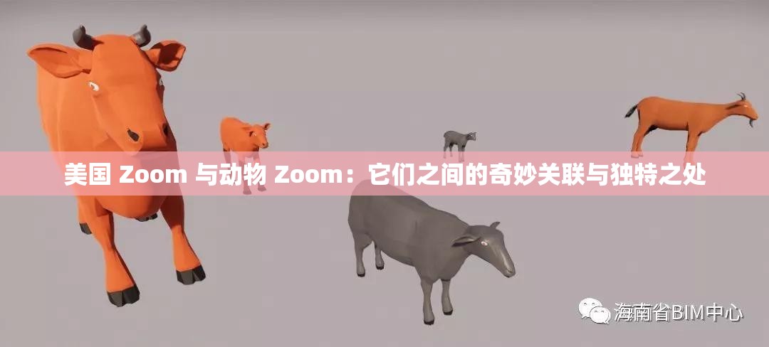 美国 Zoom 与动物 Zoom：它们之间的奇妙关联与独特之处