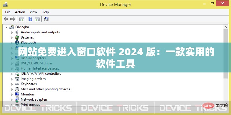 网站免费进入窗口软件 2024 版：一款实用的软件工具