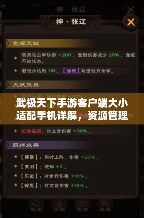 武极天下手游客户端大小适配手机详解，资源管理的重要性及其实施优化策略