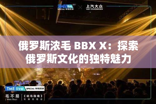 俄罗斯浓毛 BBX X：探索俄罗斯文化的独特魅力