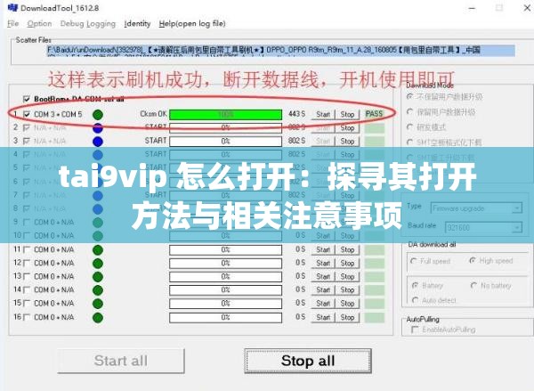 tai9vip 怎么打开：探寻其打开方法与相关注意事项
