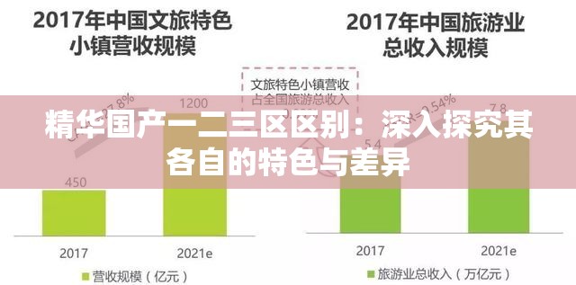 精华国产一二三区区别：深入探究其各自的特色与差异