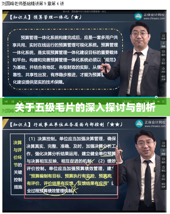 关于五级毛片的深入探讨与剖析