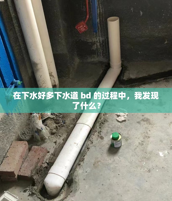 在下水好多下水道 bd 的过程中，我发现了什么？