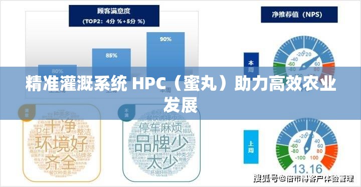 精准灌溉系统 HPC（蜜丸）助力高效农业发展