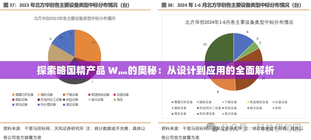 探索略国精产品 W灬的奥秘：从设计到应用的全面解析