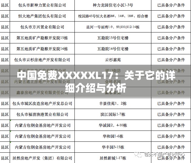 中国免费XXXXXL17：关于它的详细介绍与分析