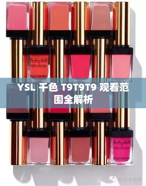 YSL 千色 T9T9T9 观看范围全解析