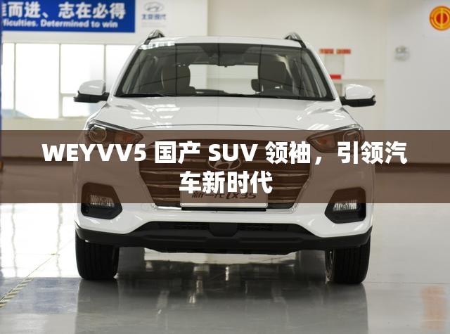 WEYVV5 国产 SUV 领袖，引领汽车新时代