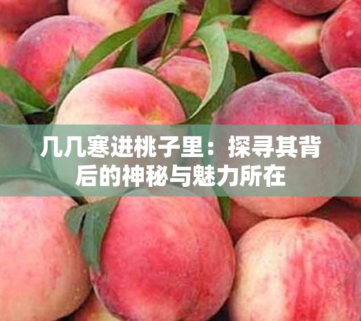 几几寒进桃子里：探寻其背后的神秘与魅力所在