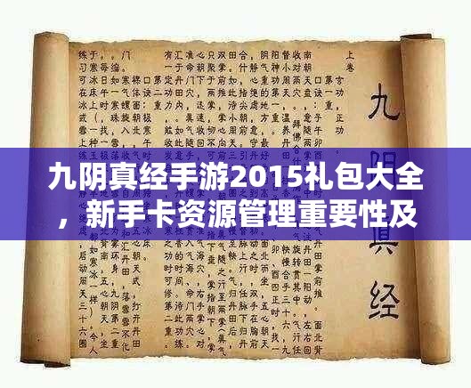 九阴真经手游2015礼包大全，新手卡资源管理重要性及高效利用实战策略