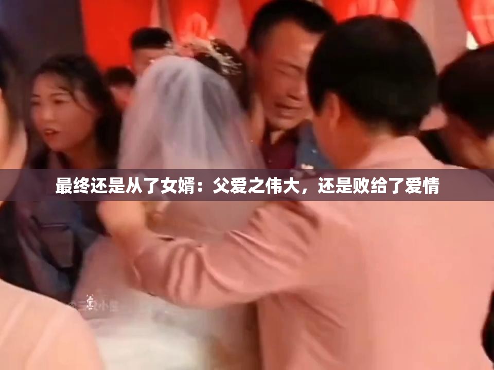 最终还是从了女婿：父爱之伟大，还是败给了爱情