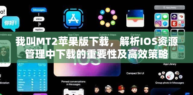我叫MT2苹果版下载，解析IOS资源管理中下载的重要性及高效策略