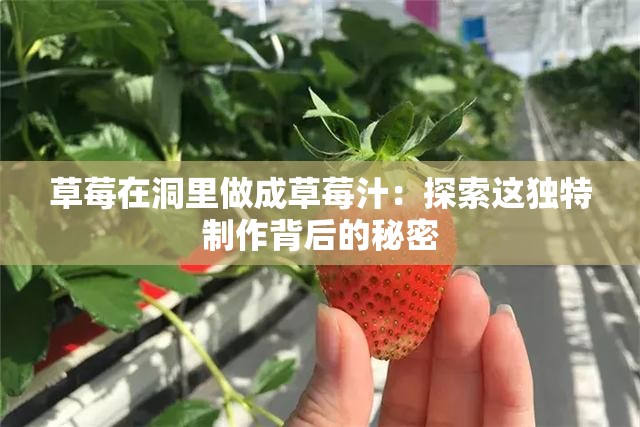 草莓在洞里做成草莓汁：探索这独特制作背后的秘密