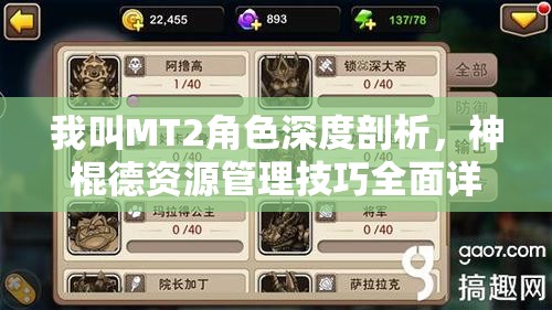 我叫MT2角色深度剖析，神棍德资源管理技巧全面详解（下）