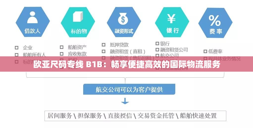 欧亚尺码专线 B1B：畅享便捷高效的国际物流服务