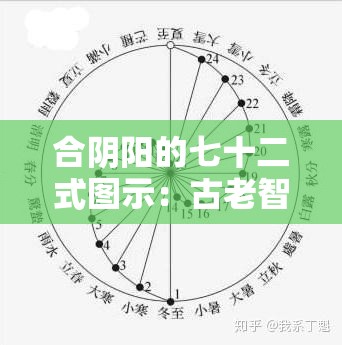 合阴阳的七十二式图示：古老智慧的独特呈现与解析