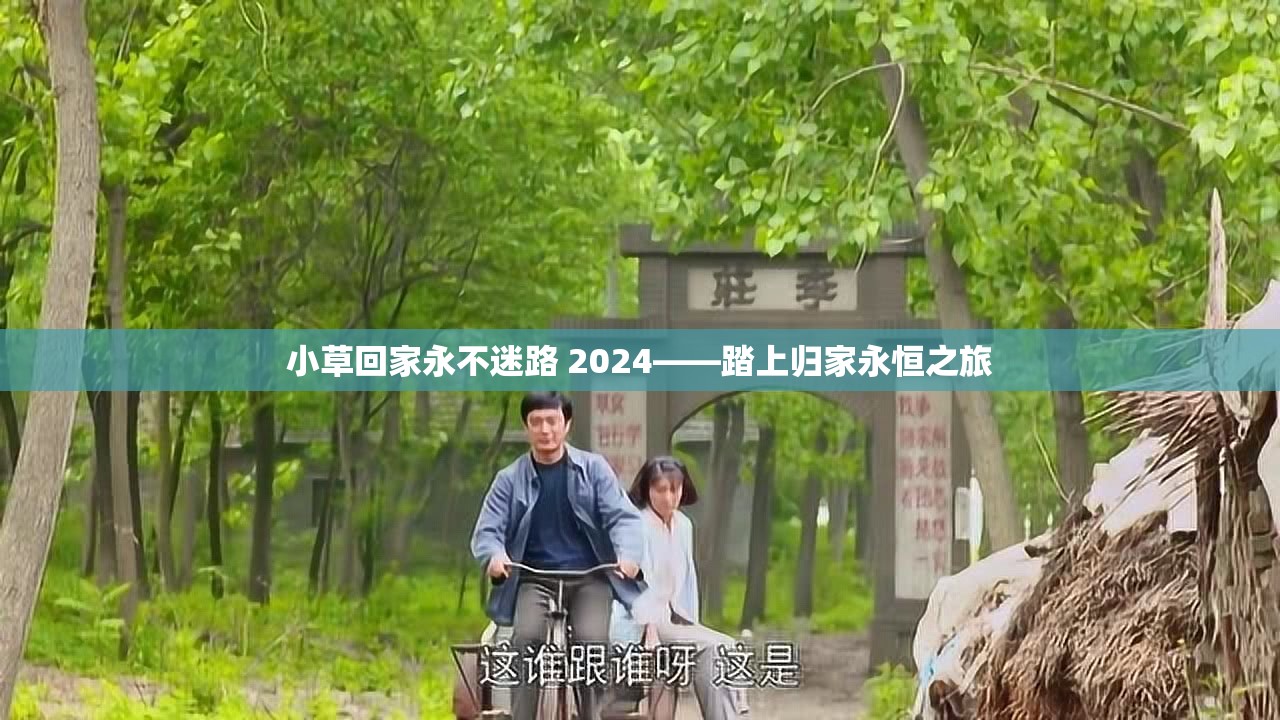 小草回家永不迷路 2024——踏上归家永恒之旅