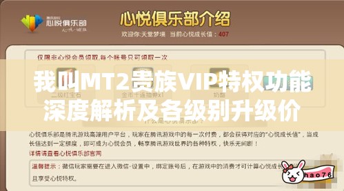 我叫MT2贵族VIP特权功能深度解析及各级别升级价格全面指南