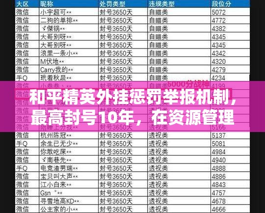 和平精英外挂惩罚举报机制，最高封号10年，在资源管理中的关键性应用与高效策略