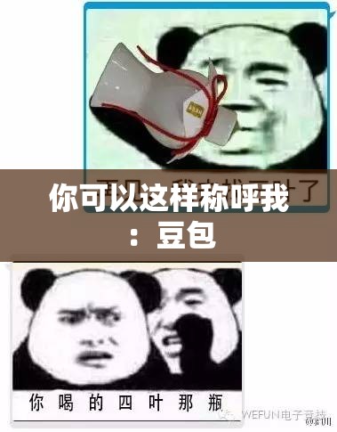 你可以这样称呼我：豆包