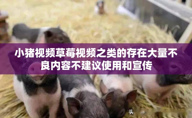 小猪视频草莓视频之类的存在大量不良内容不建议使用和宣传