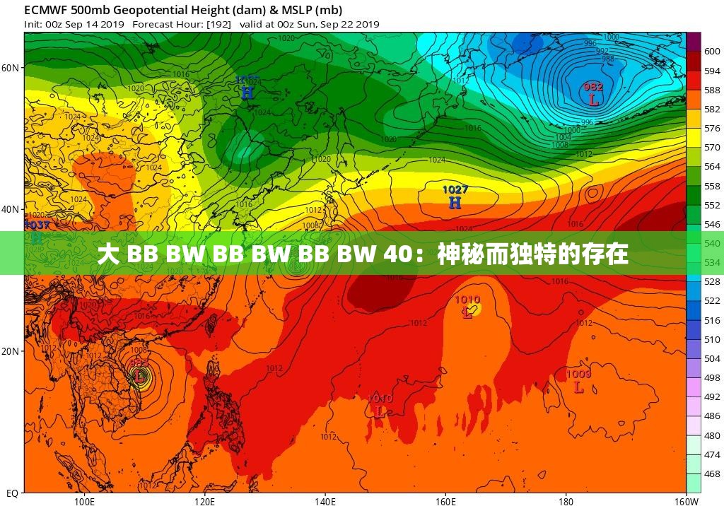 大 BB BW BB BW BB BW 40：神秘而独特的存在