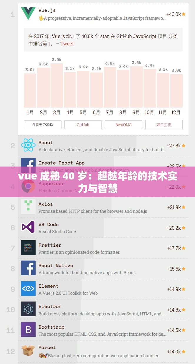 vue 成熟 40 岁：超越年龄的技术实力与智慧