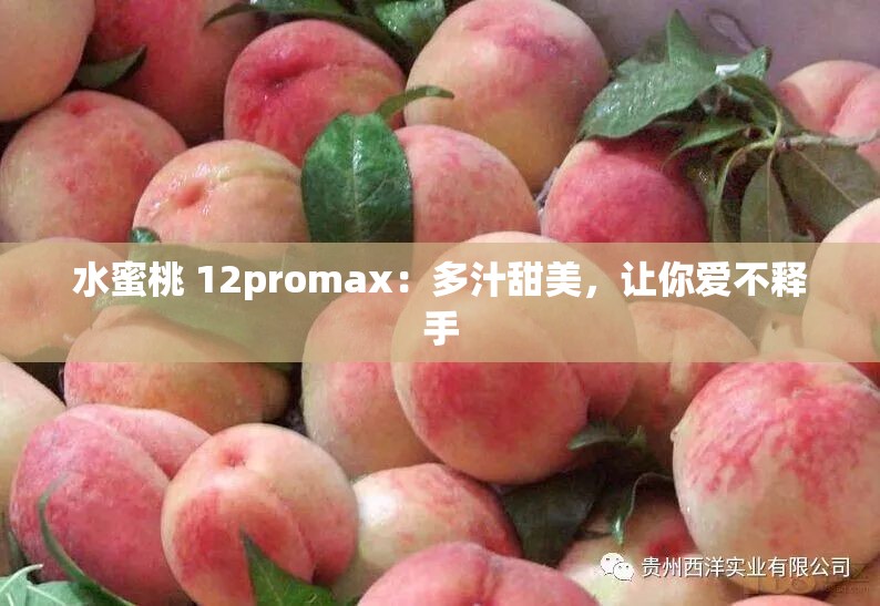 水蜜桃 12promax：多汁甜美，让你爱不释手