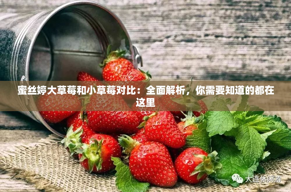 蜜丝婷大草莓和小草莓对比：全面解析，你需要知道的都在这里