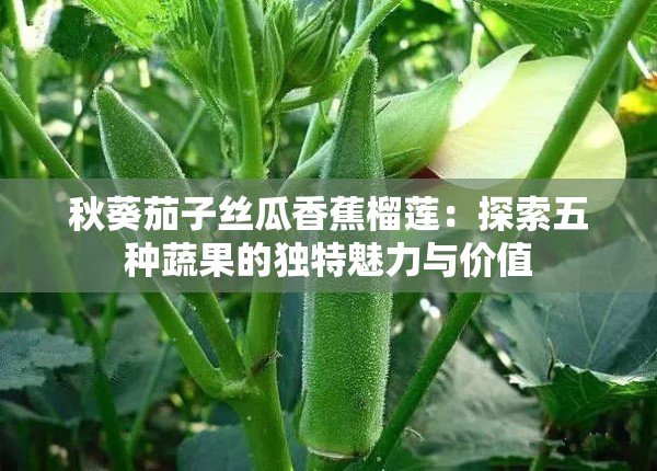 秋葵茄子丝瓜香蕉榴莲：探索五种蔬果的独特魅力与价值