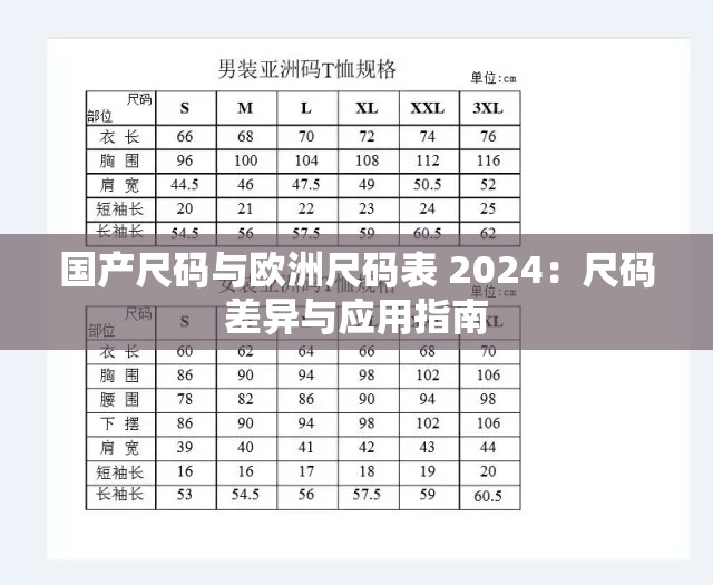 国产尺码与欧洲尺码表 2024：尺码差异与应用指南