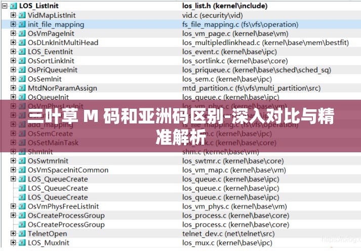 三叶草 M 码和亚洲码区别-深入对比与精准解析