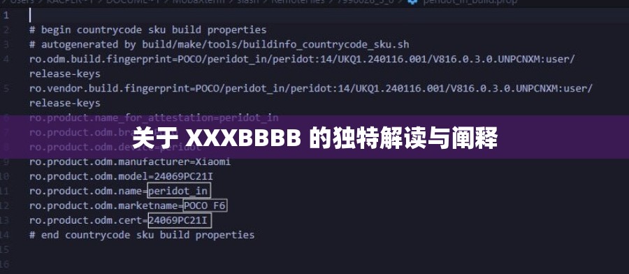 关于 XXXBBBB 的独特解读与阐释
