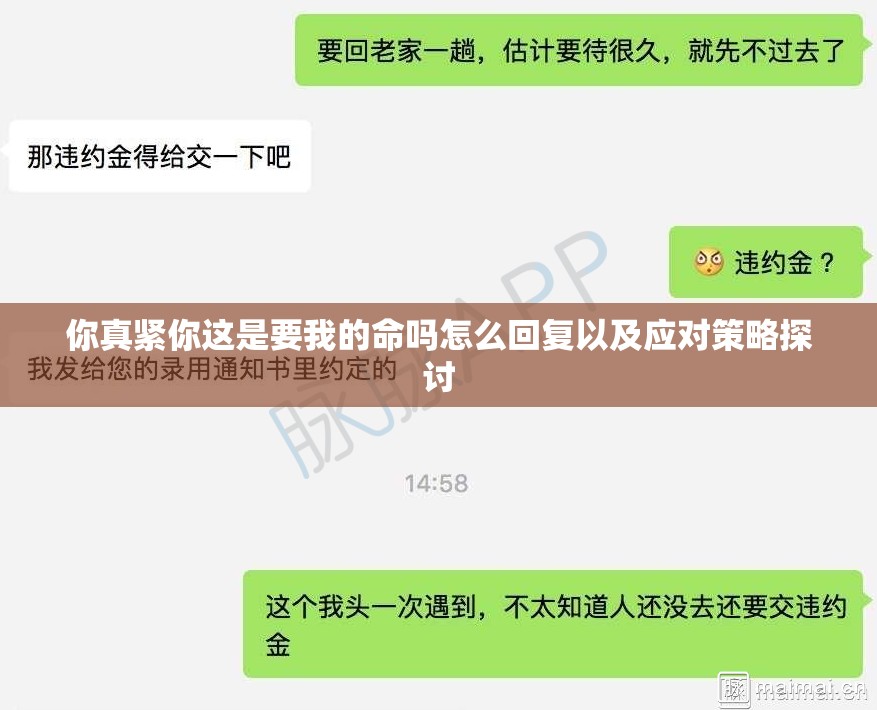 你真紧你这是要我的命吗怎么回复以及应对策略探讨