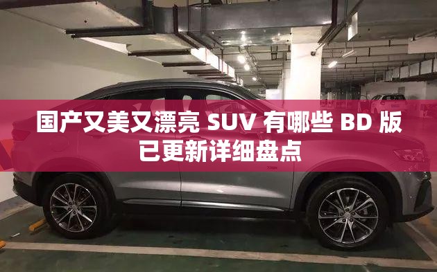 国产又美又漂亮 SUV 有哪些 BD 版已更新详细盘点