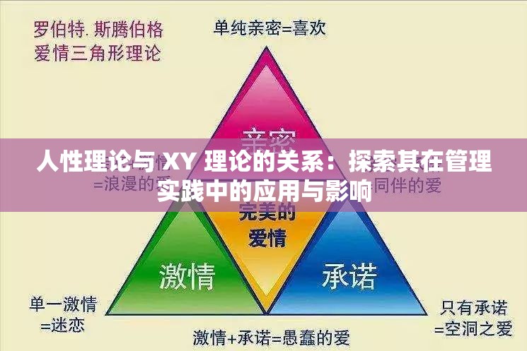 人性理论与 XY 理论的关系：探索其在管理实践中的应用与影响