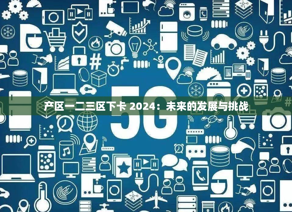 产区一二三区下卡 2024：未来的发展与挑战