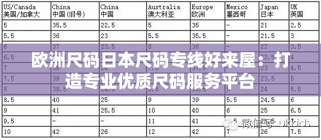 欧洲尺码日本尺码专线好来屋：打造专业优质尺码服务平台