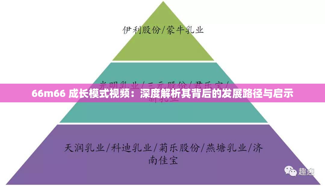 66m66 成长模式视频：深度解析其背后的发展路径与启示