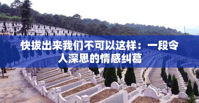 快拔出来我们不可以这样：一段令人深思的情感纠葛