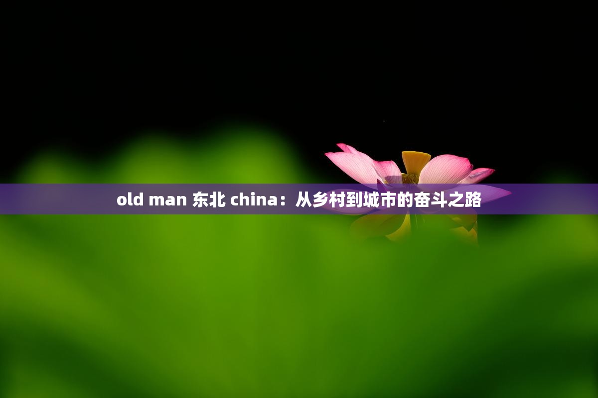 old man 东北 china：从乡村到城市的奋斗之路