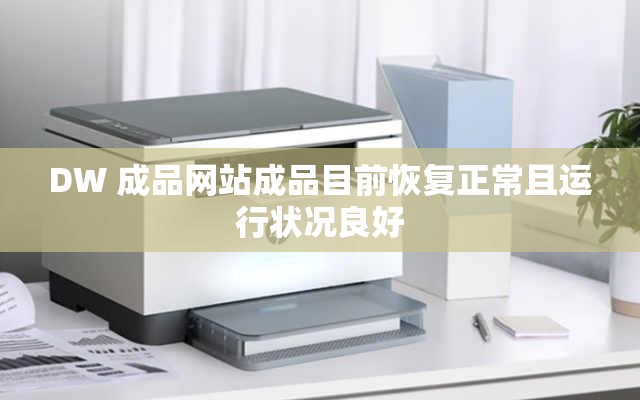 DW 成品网站成品目前恢复正常且运行状况良好