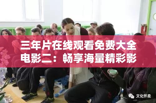 三年片在线观看免费大全电影二：畅享海量精彩影片不容错过